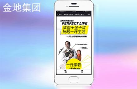 金地集團